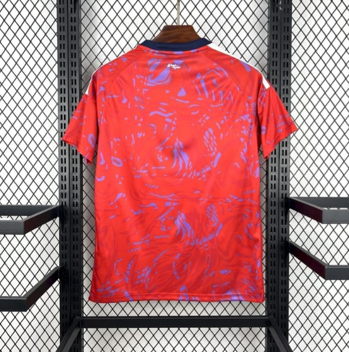 PSG DOM UCL Edition 24/25 (Keine Beflockung)