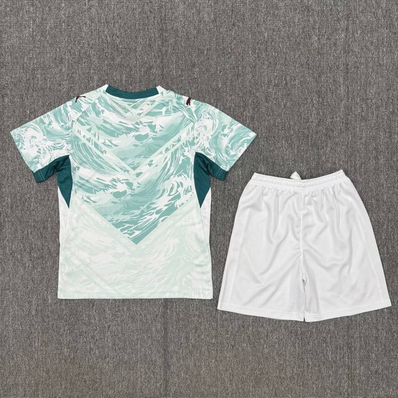 PSG DOM UCL Edition 24/25 (Keine Beflockung)