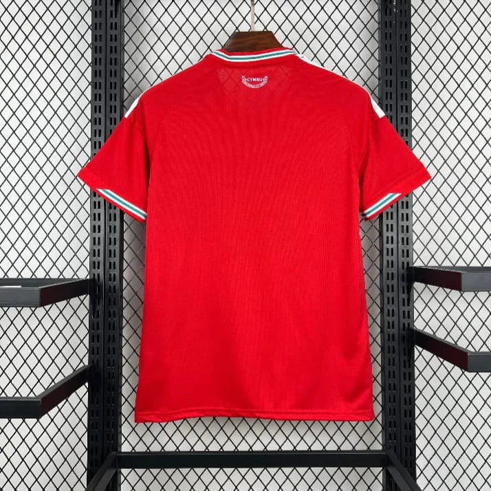 PSG DOM UCL Edition 24/25 (Keine Beflockung)