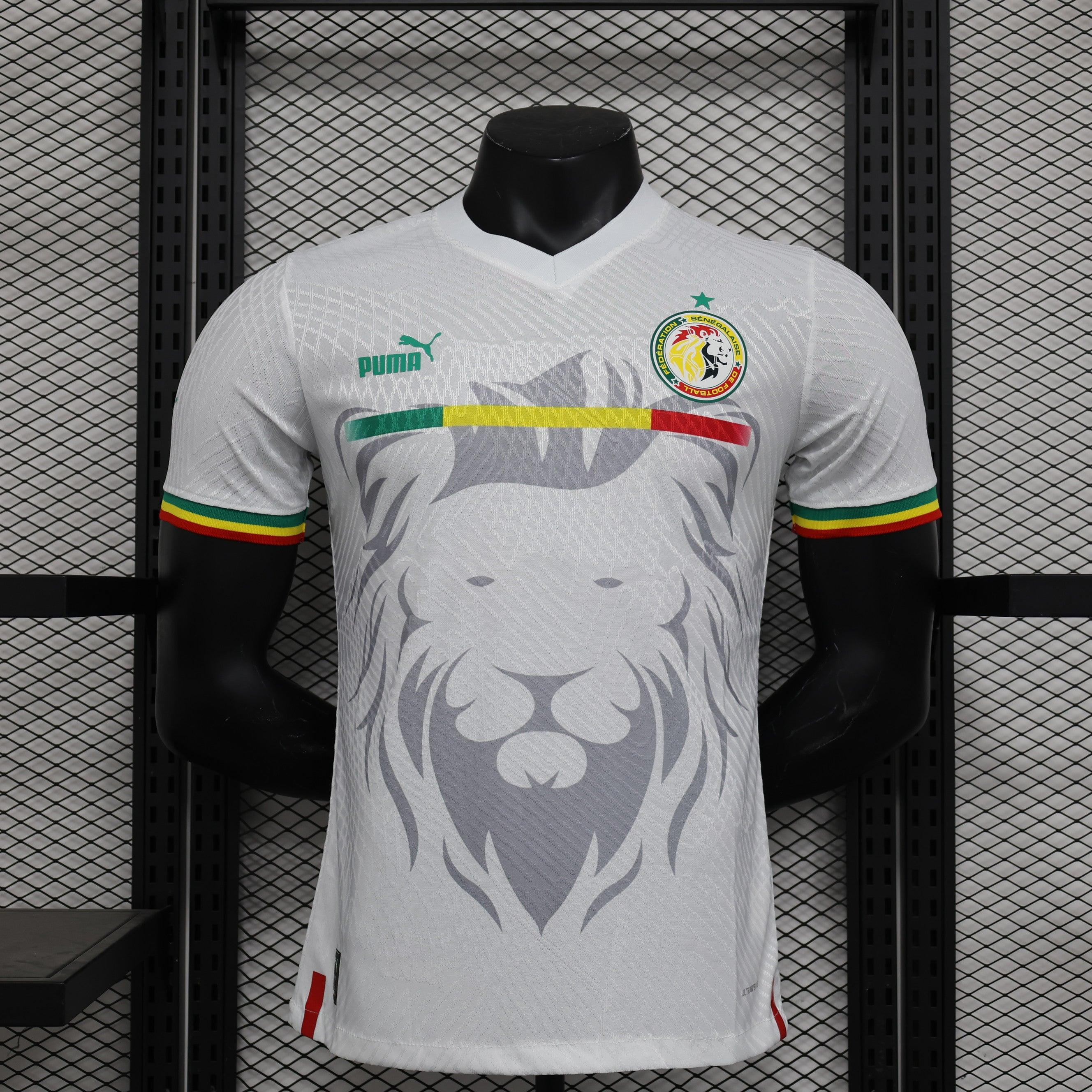 Senegal-Spielerversion 2023